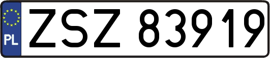 ZSZ83919