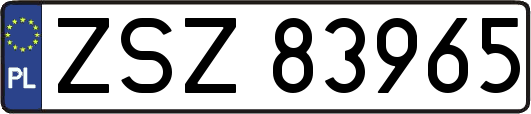 ZSZ83965