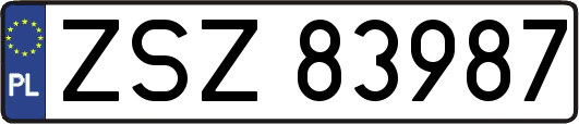 ZSZ83987