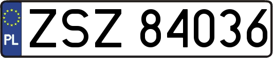 ZSZ84036