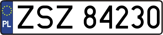 ZSZ84230