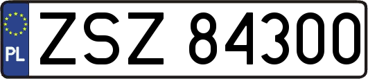 ZSZ84300
