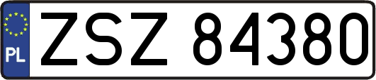 ZSZ84380