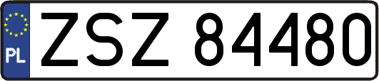 ZSZ84480