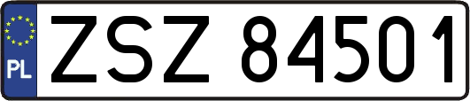 ZSZ84501