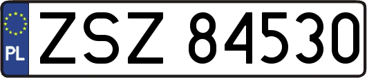 ZSZ84530