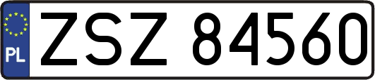 ZSZ84560