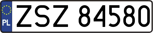 ZSZ84580