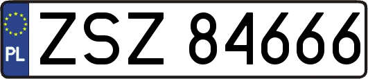ZSZ84666