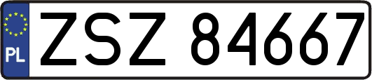 ZSZ84667