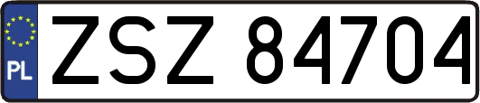 ZSZ84704