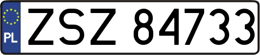 ZSZ84733