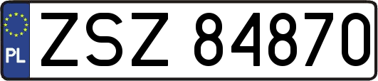 ZSZ84870