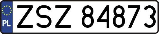 ZSZ84873