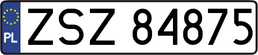ZSZ84875
