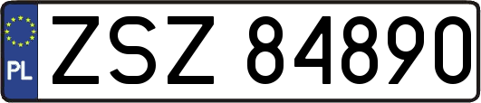ZSZ84890