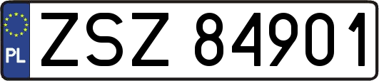 ZSZ84901