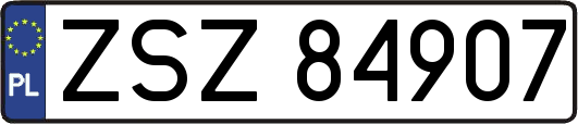 ZSZ84907