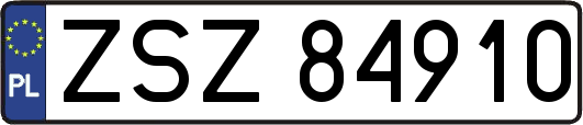 ZSZ84910