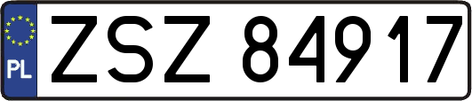 ZSZ84917