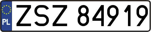 ZSZ84919