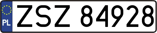 ZSZ84928