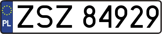 ZSZ84929
