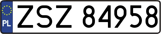 ZSZ84958