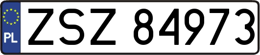 ZSZ84973