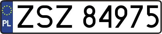 ZSZ84975