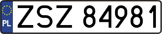 ZSZ84981