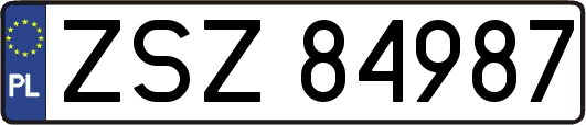 ZSZ84987