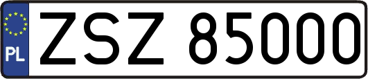 ZSZ85000