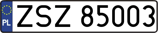 ZSZ85003