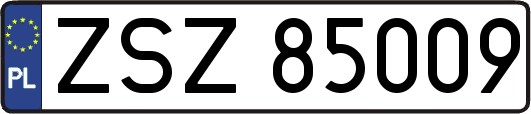 ZSZ85009