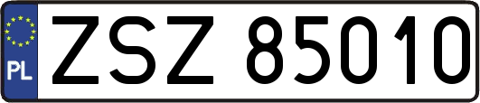 ZSZ85010