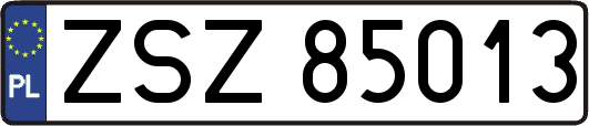 ZSZ85013