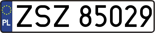 ZSZ85029