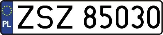 ZSZ85030