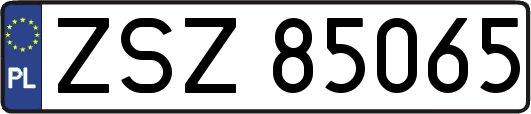 ZSZ85065
