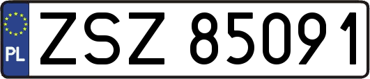 ZSZ85091