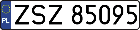 ZSZ85095