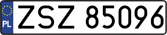 ZSZ85096