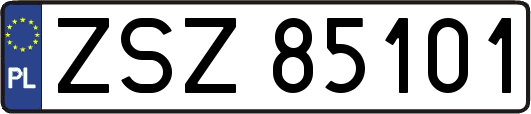 ZSZ85101