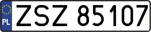 ZSZ85107