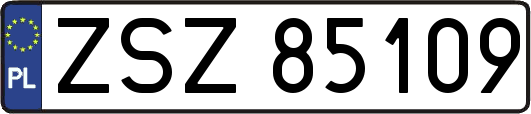 ZSZ85109