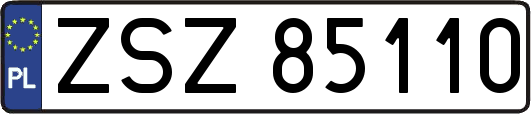 ZSZ85110