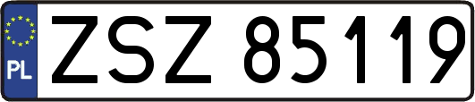 ZSZ85119