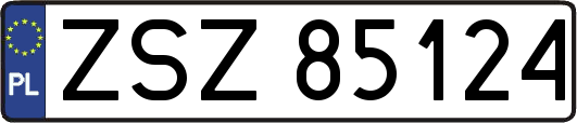 ZSZ85124