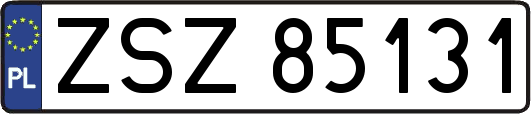 ZSZ85131